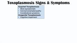 Toxoplasmosis: The Parasite That Reduces Brain Functioning (& Where It Comes From) Instructional Video