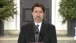 Trump's move to ban respirator exports could 'end up hurting Americans': Trudeau News Clip