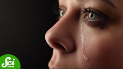 Crying is Extremely Weird Instructional Video