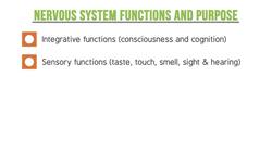 The Essentials of the Nervous System: Functions and Structure Instructional Video