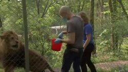 Dartmoor Zoo Only Has Weeks Of Funding Left News Clip