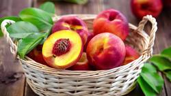 Exploring the Delicious Nectarine: A Fruitful Journey Instructional Video