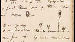 Darwin's lost microscope: the auction of a history-making 'box of brass' Instructional Video