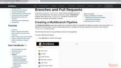 Practical Jenkins - Understanding and Implementing Multi-branch Pipelines Instructional Video