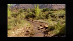 Owl's Fascinating Facts: Squirting Blood Instructional Video