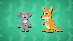 I WONDER - Why Do Kangaroos Have A Pouch? Me Pregunto - Por Qué Los Canguros Tienen Una Bolsa? Instructional Video