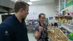 As Nunavut struggles with food insecurity, students step up to help feed their peers News Clip