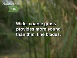 How to Whistle with a Blade of Grass Instructional Video