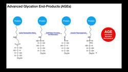 Advanced Glycation End-Products (AGEs) EXPLAINED [Part 1] Instructional Video