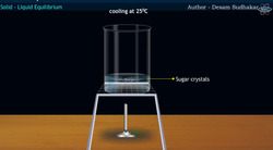 Solid - Liquid Equilibrium Instructional Video
