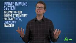 Why Herpes Is the Most Talented Virus Ever Instructional Video
