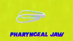 Real-life "Alien" jaws | Darien Satterfield Instructional Video