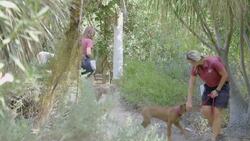 The Time Two Unlikely Animal Pals Competed in a Land Race Instructional Video