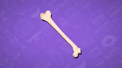 I WONDER - What Do Diary Products Provide To The Human Diet? Instructional Video