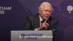 Sir David Attenborough: There is ‘some hope’ world can tackle environmental problems News Clip