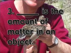 Measuring Mass and Volume: Video Quiz Instructional Video