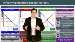 Understanding Labor Markets and Equilibrium Wage Rates Instructional Video