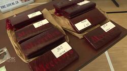 Harm reduction expert shares what to do in event of overdose following discovery of phenazolam News Clip