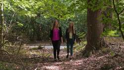 The Diggers arrive at St George's Hill | Part Two | English Civil War Radicals Instructional Video