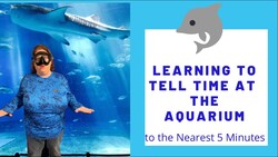 Telling Time to 5 Minutes at the Aquarium Instructional Video