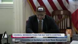 Council members making a push for rat birth control News Clip