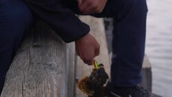 How climate change is affecting the lives of Greenlanders  Instructional Video