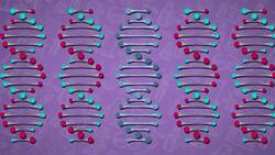 I WONDER - What Is DNA Mutation? Instructional Video