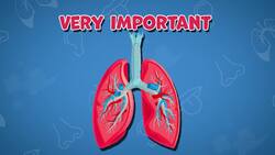 I WONDER - What Does The Respiratory System Do? Instructional Video