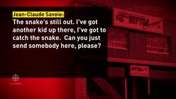 Dramatic 911 calls over python News Clip