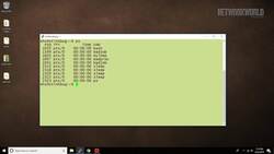 Linux Tip: How to terminate processes Instructional Video