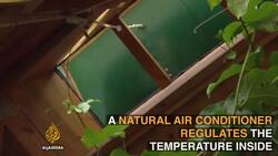 South America's First Sustainable Public School News Clip