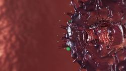 Oxford starts human trials on COVID-19 vaccine: report Instructional Video