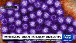 Norovirus wreaking havoc on cruise ships News Clip