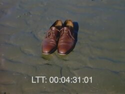 Amsterdam 1960s Stock Footage