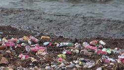 VOICED : Los residuos plásticos están presentes de forma masiva en todos los océanos News Clip