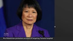 Politicians condemn pro-Palestinian protest in front of Toronto hospital News Clip