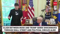 Trump WIPES OUT Elon Musk's $15 BILLION In Just 6 Minutes; Tesla Shares Tank, MAYHEM At Wall Street News Clip