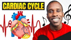 The Cardiac Cycle Song Instructional Video