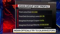 Adani Contagion Fears Prompt Indian Officials to Call for Calm News Clip