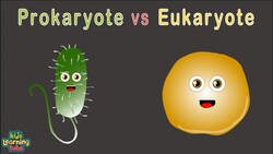 Human Cells /Prokaryotic vs Eukaryotic Cells Instructional Video