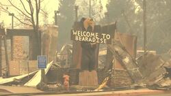 Utility seeks bankruptcy over California fires News Clip