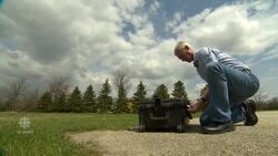 Eye in the sky News Clip