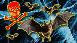 Is Coyote Peterson the REAL Batman? Instructional Video