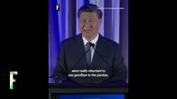 Panda diplomacy is back after Xi/Biden summit as China’s president learned many ‘were really reluctant to say goodbye News Clip