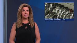 Rockland County requiring warning labels wherever firearms are sold News Clip