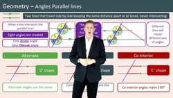 Angles in Parallel Lines and Triangle Relationships Instructional Video