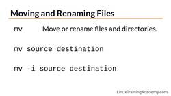 Linux Administration Bootcamp: Go from Beginner to Advanced - Deleting, Copying, Moving, and Renaming Files Instructional Video