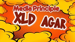 Principle of Xylose Lysine Deoxycholate Agar Instructional Video