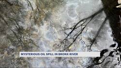 Oil spill in Bronx River remains a mystery News Clip