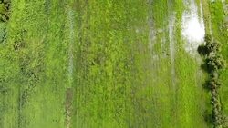 Aerial view of countryside over meadow in spring season Stock Footage